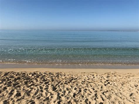 cruising gay mallorca|Playas de Muro .